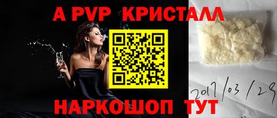 гашик Малгобек