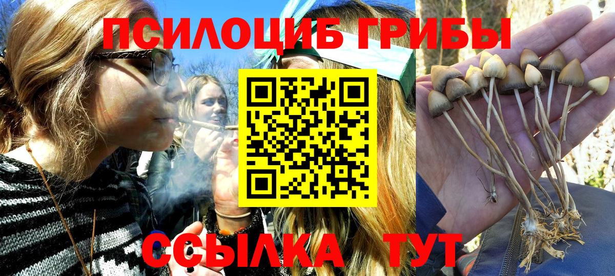 Псилоцибиновые грибы Magic Shrooms  Вход с VPN  Благодарный 